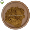 Wholesale Herbal Extract ashwagandha root powder